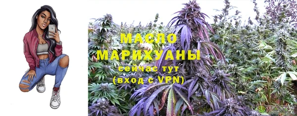 винт Гусь-Хрустальный