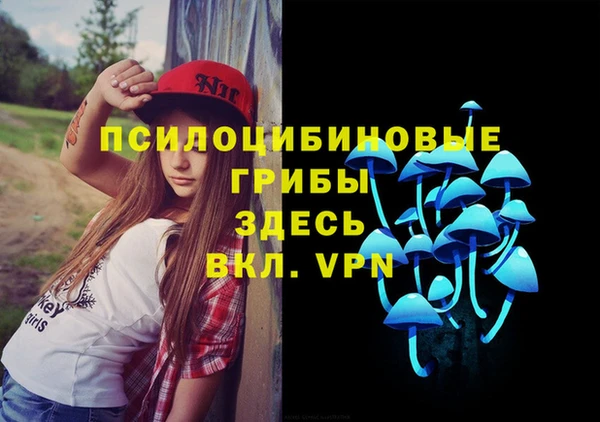 дмт Дмитриев