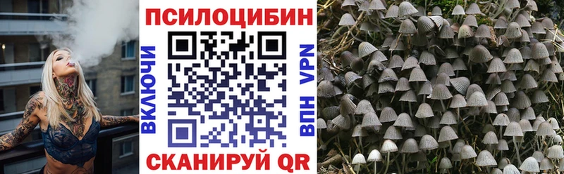 Псилоцибиновые грибы прущие грибы Димитровград