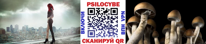 Галлюциногенные грибы MAGIC MUSHROOMS  Димитровград 